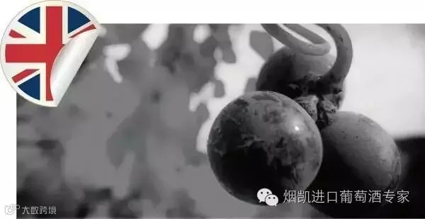 1467338785129250.jpg