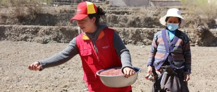 次吉拉姆：以一腔热枕 守护高原万家