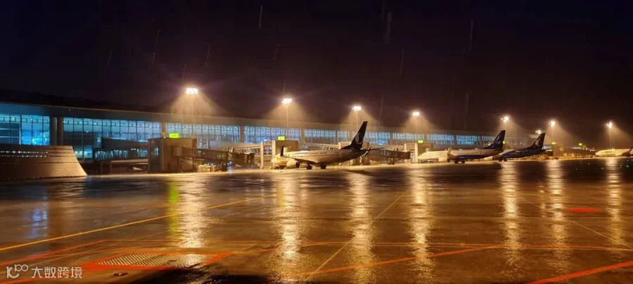 9 随风潜入夜.jpg
