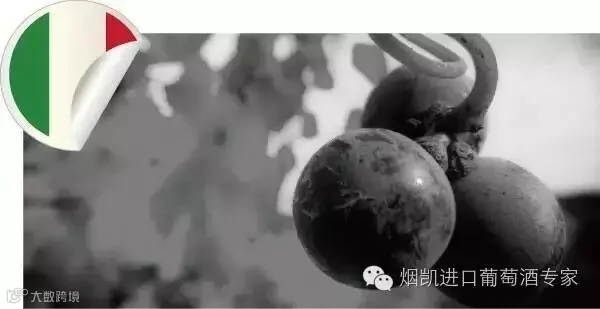 1467338655740189.jpg