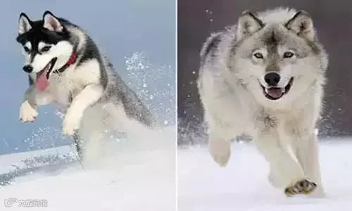 1433556593674744.jpg