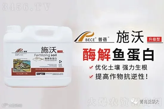根生则生,根亡则亡!作物如何强力生根?