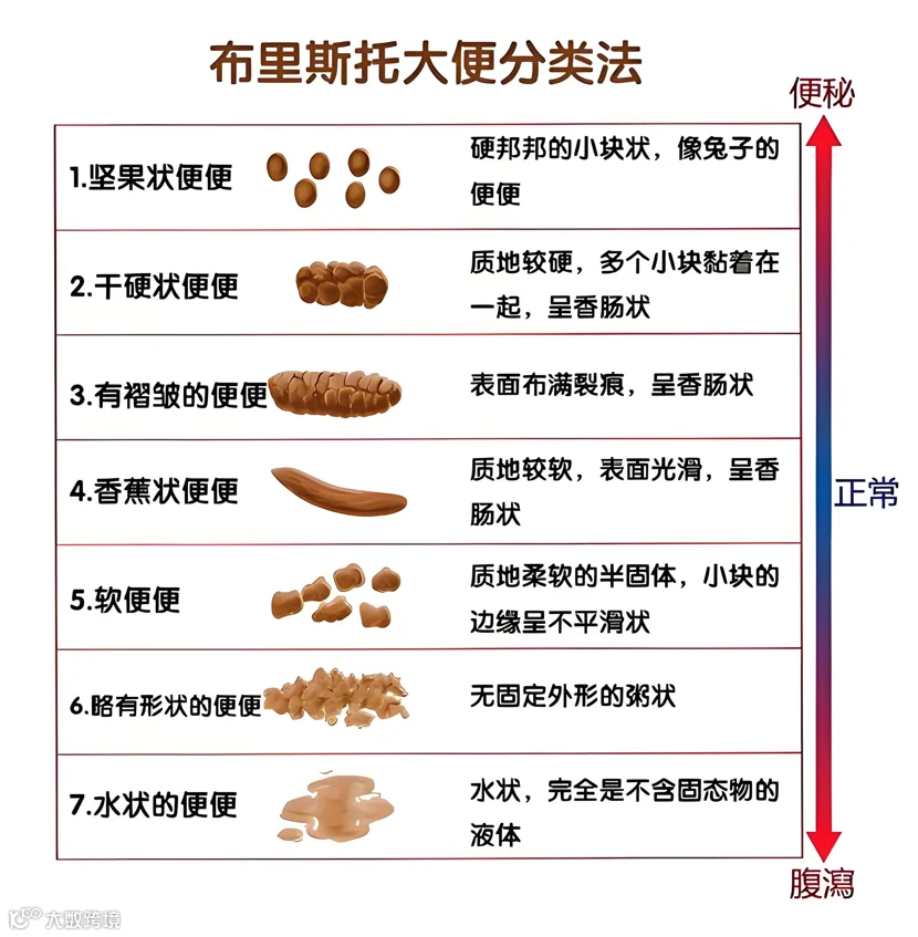 布里斯托大便分类法.png