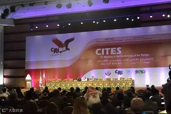CITES1.webp.jpg