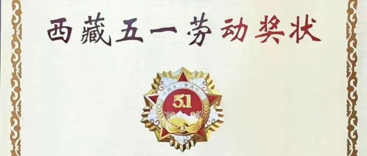 国网<em>昌都</em>供电公司荣获西藏自治区2026年五一劳动奖状