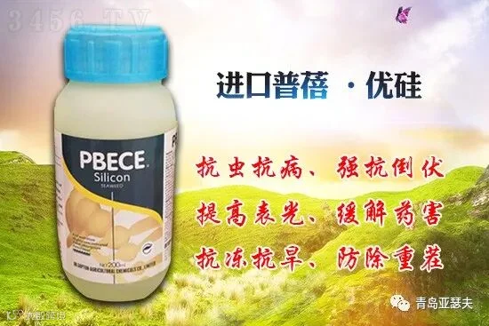 杩涘彛鏋滈】鏅摀-路浼樼-鍔熻兘鎬ф按婧跺彾闈㈣偉寰偉-浜氱憻澶?.jpg
