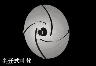 6.gif