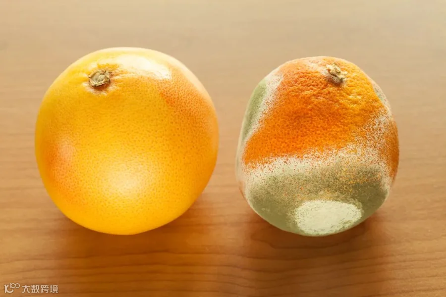 IST_20309_00825.jpg