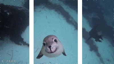 转头
