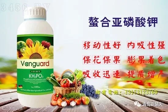 逆先锋螯合亚磷酸钾作用有哪些?看完这篇,你就明白了!