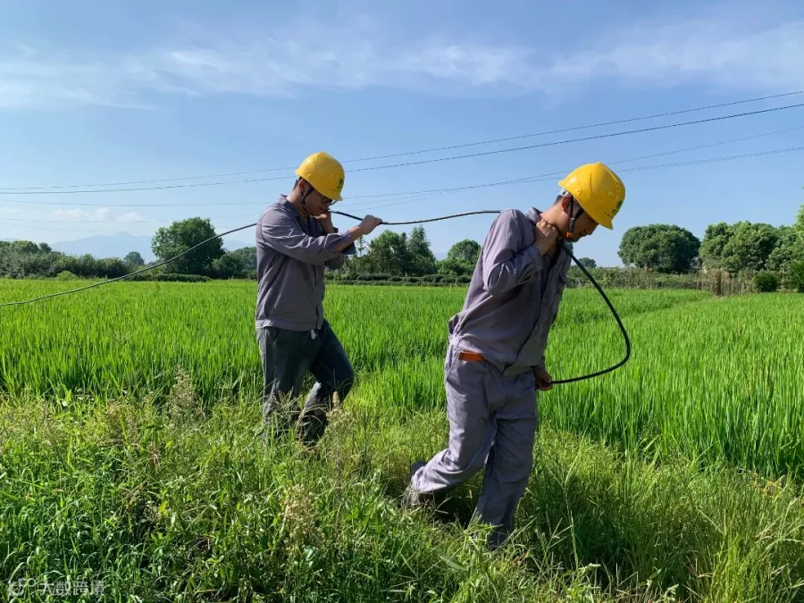 “哪里有需要,哪里就有青工奋战的身影。”国网平江县供电公司青工助力抗旱护农,在安定镇长兴村下户线改造工程中,安定所青年员工顶着炎炎烈日,积极参与抗旱线路的架设。(姚可欣).jpg