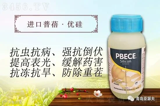 杩涘彛鏋滈】鏅摀-路浼樼-鍔熻兘鎬ф按婧跺彾闈㈣偉寰偉-浜氱憻澶?jpg3.jpg