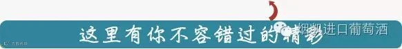 墨绿色红箭头引导关注