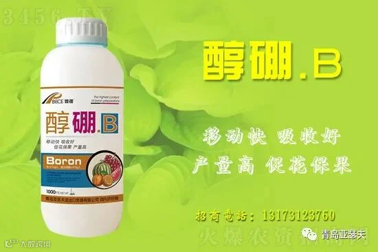 影响农作物生长和产量的因素是什么?作物如何提高产量、增产增收?