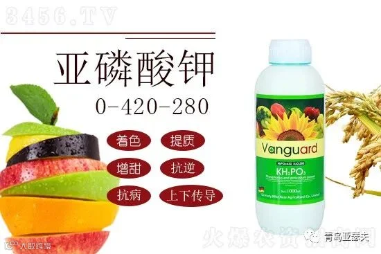 亚磷酸钾有何独特之处?可以给作物带来什么?