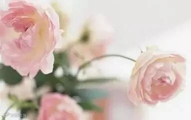 t0118d70939d33351bf.jpg