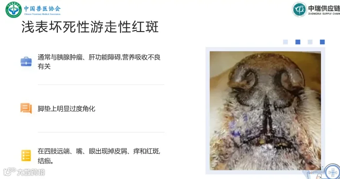 74f2dc9e8ce22964246e60b143a38561.png