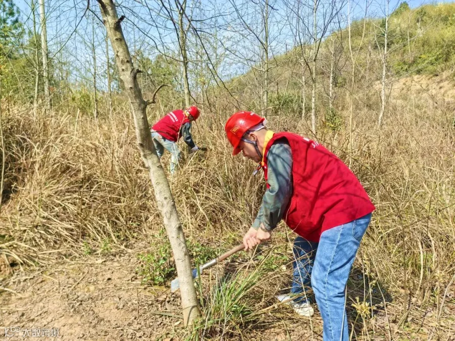 邵阳县公司.jpg