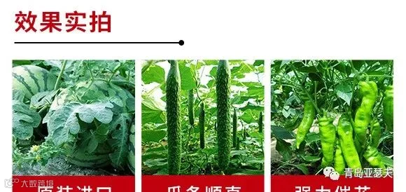 英国原包进口果顿特种肥料大量元素水溶肥10-50-10+TE-亚瑟夫