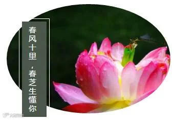 http://7xo6kd.com1.z0.glb.clouddn.com/upload-ueditor-image-20170407-1491542512743088013.png
