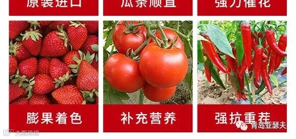 英国原包进口果顿特种肥料大量元素水溶肥10-50-10+TE-亚瑟夫
