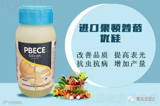抗虫抗病,抗冻抗旱,提高表光,增加产量!功能性叶面肥就是这么神奇!