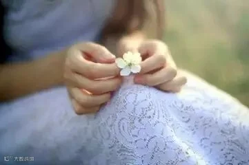 t01077e60fc154a15d5.jpg