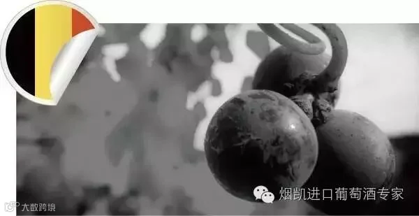 1467338819275833.jpg