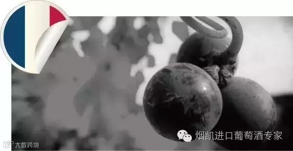 1467338021138523.jpg