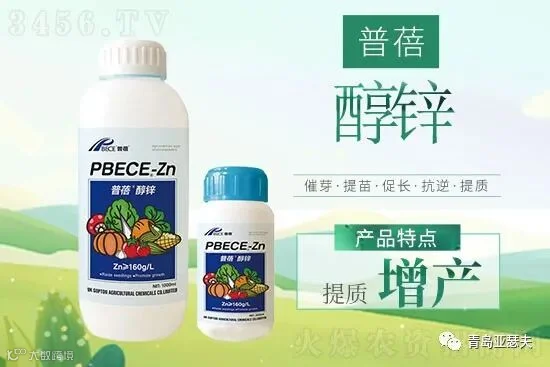 作物缺锌危害大,想要作物产量高,正确补锌是关键!