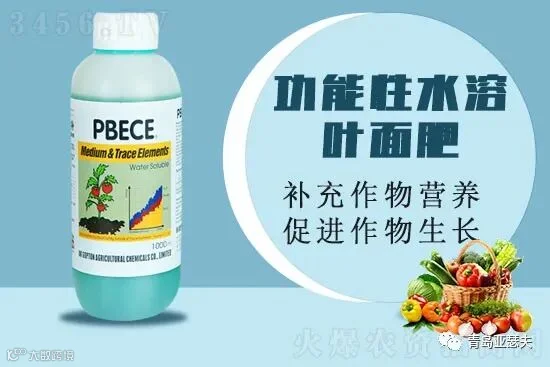 功能性叶面肥到底有多好?叶面肥怎么使用效果好?