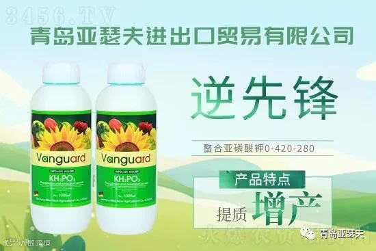 亚磷酸钾有何独特之处?可以给作物带来什么?