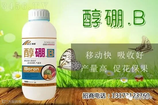影响农作物生长和产量的因素是什么?作物如何提高产量、增产增收?