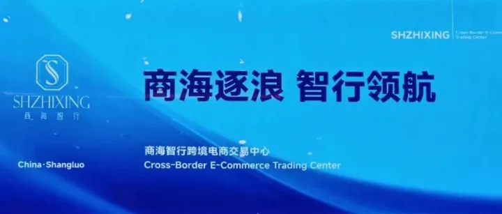错过了2020，别再错过2026：这波跨境浪潮比你想象的更猛！