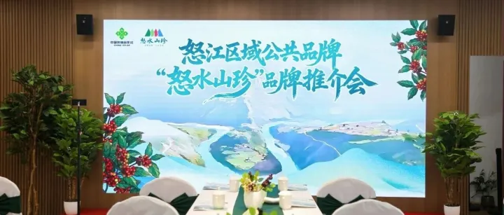 山海赴约！“怒水山珍”首秀上海解锁怒江生态好物的硬核魅力