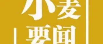 行情 | 5月20日小麦价格稳中有升，多空因素持续博弈