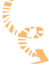 图层 8.png
