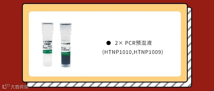2zeng .jpg