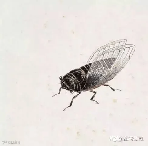 局部