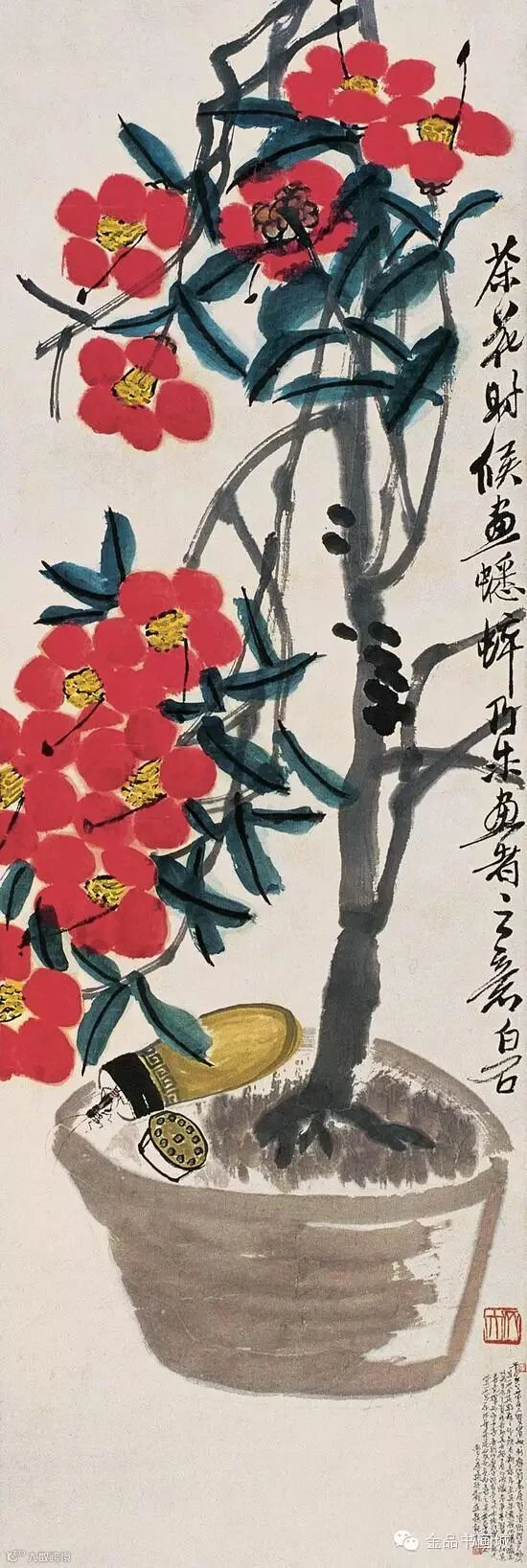 齐白石《山茶》