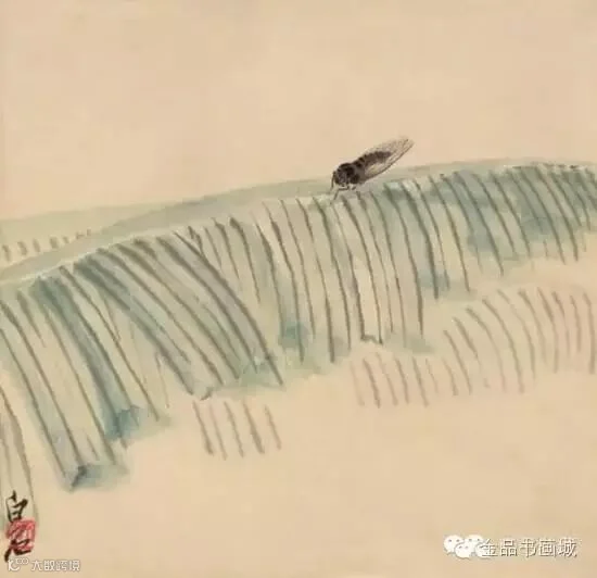 《蕉叶蝉》