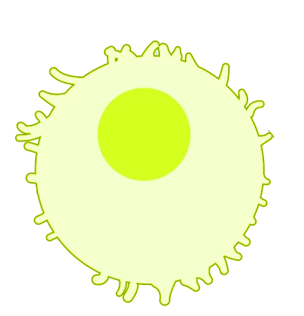 Immune_Cell_(NIH_BioArt_252_-_631168).svg.png