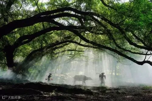 《晨光里》 地点:福建霞浦 摄影:王延川