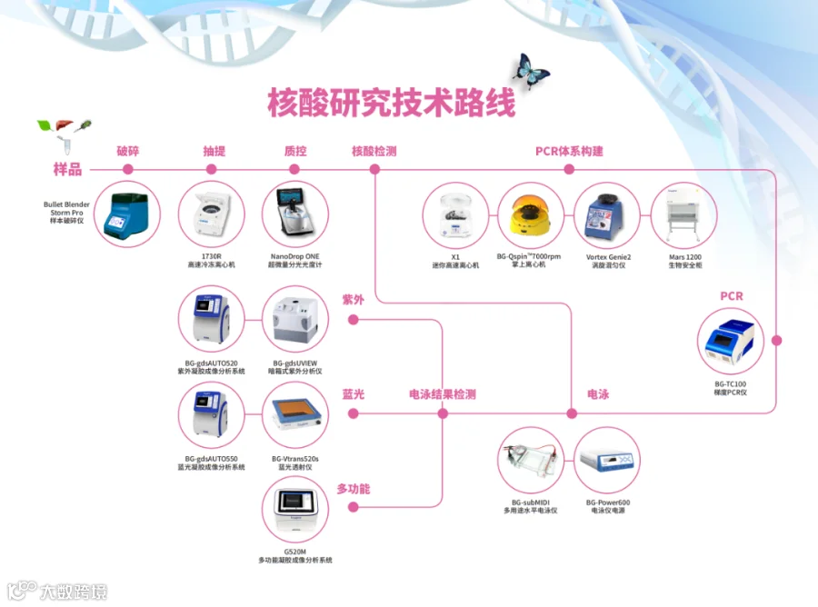 核酸研究技术路线.png