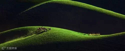 摄影:戴蕴雅《草原韵律》地点:新疆琼库什台