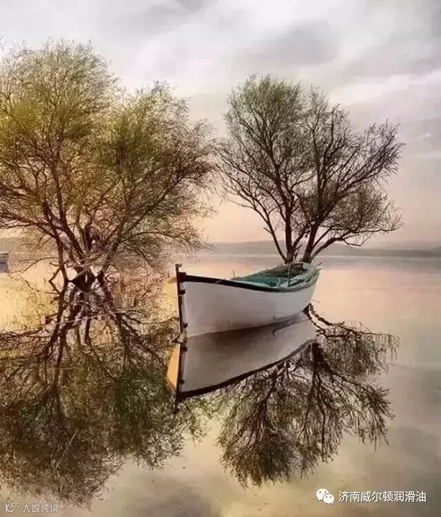 1493456066212793.jpg
