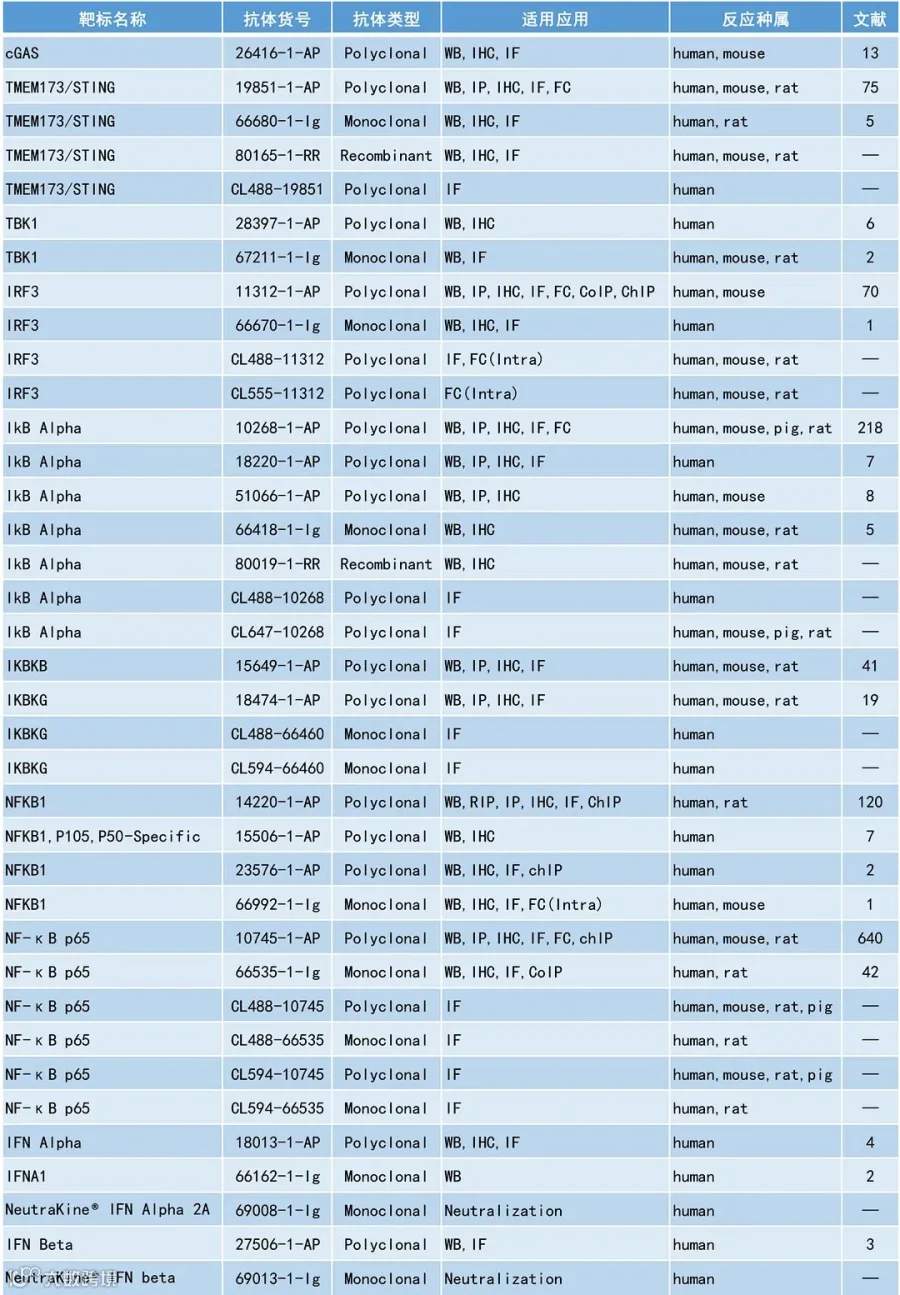 cGAS-STING-2.jpg