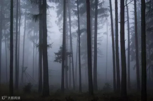 84289870_25.jpg