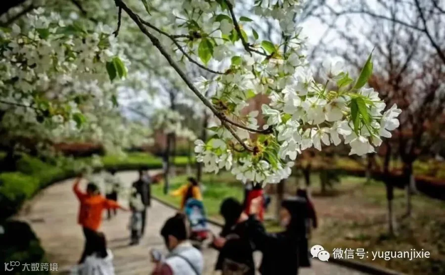微信图片_20230405134911.jpg