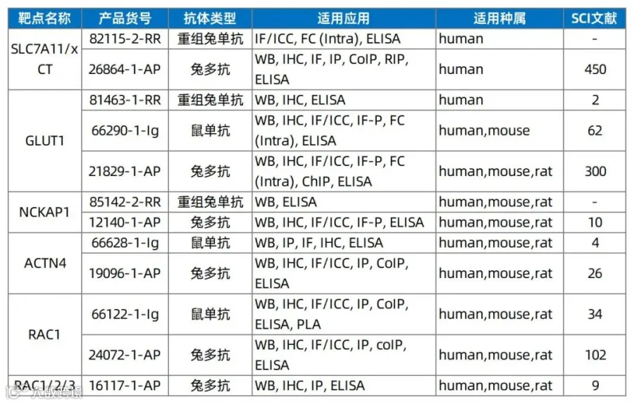 工作簿(71)_Sheet2.jpg
